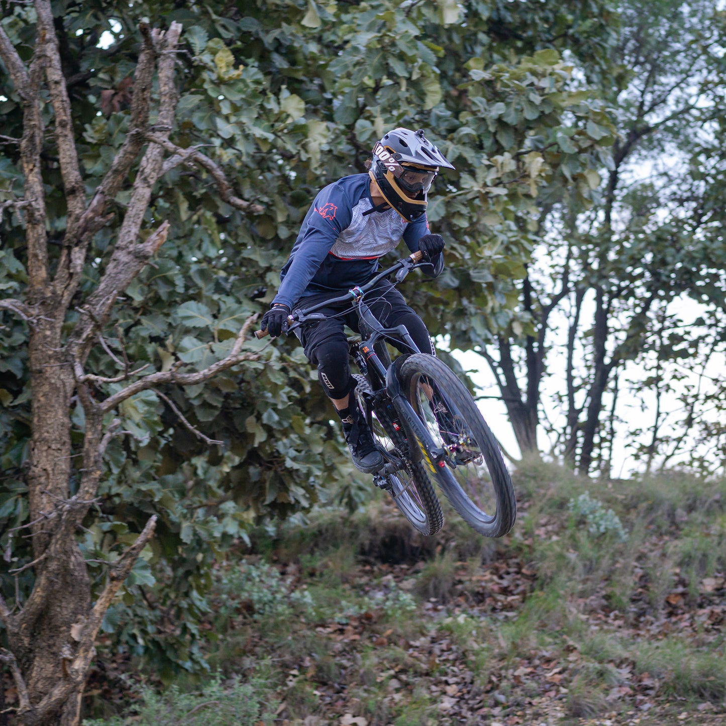 La Primavera - Jersey Manga Larga