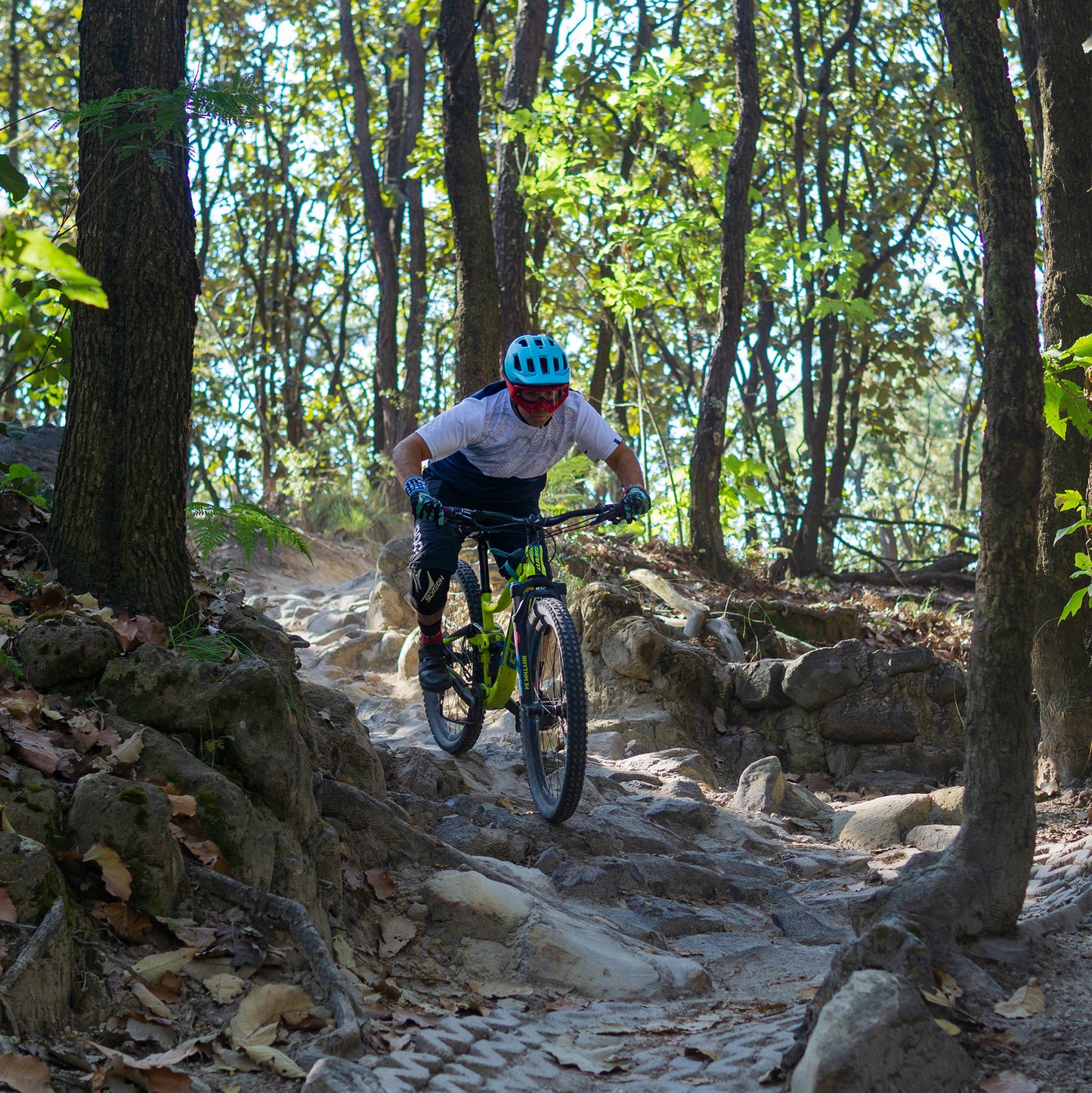 La Primavera - Jersey Manga Corta