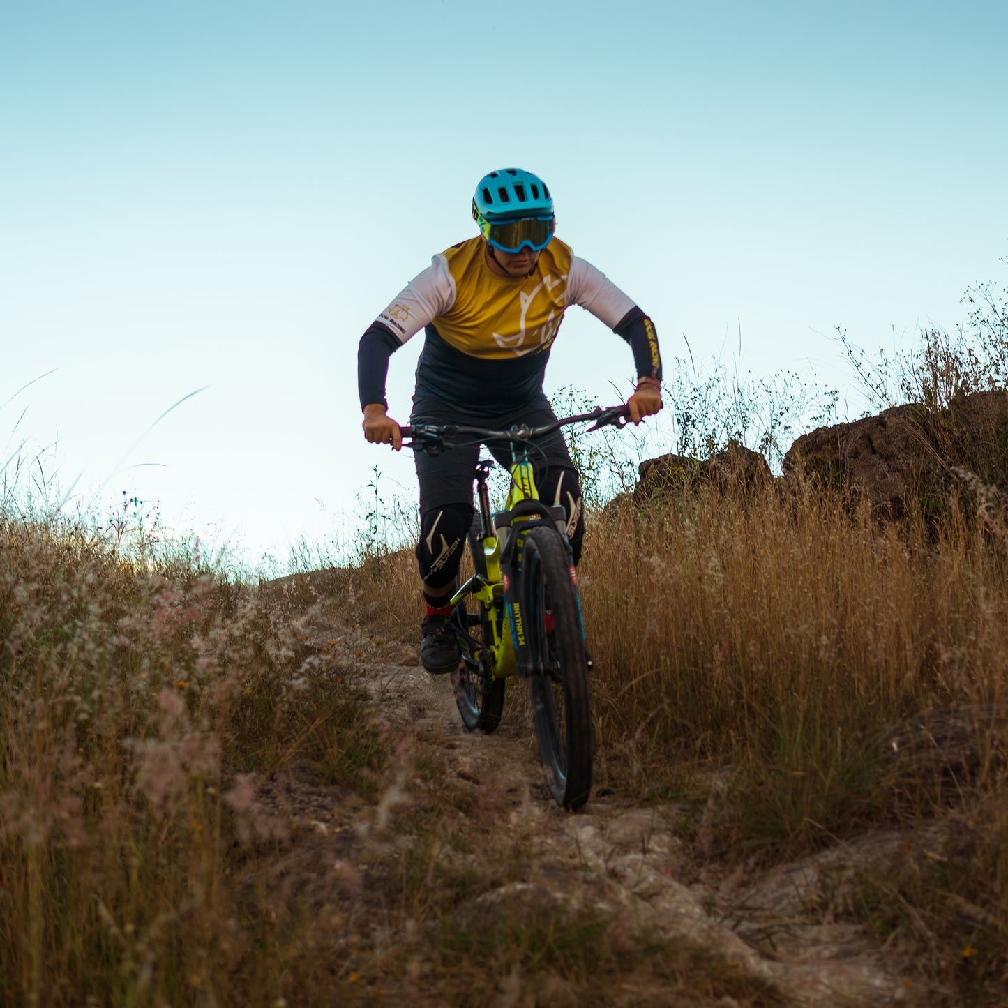 Jabali Amarillo - Jersey Manga Larga